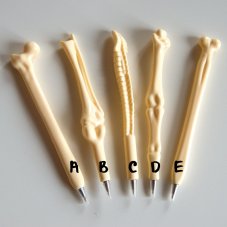 Propiska anatomie